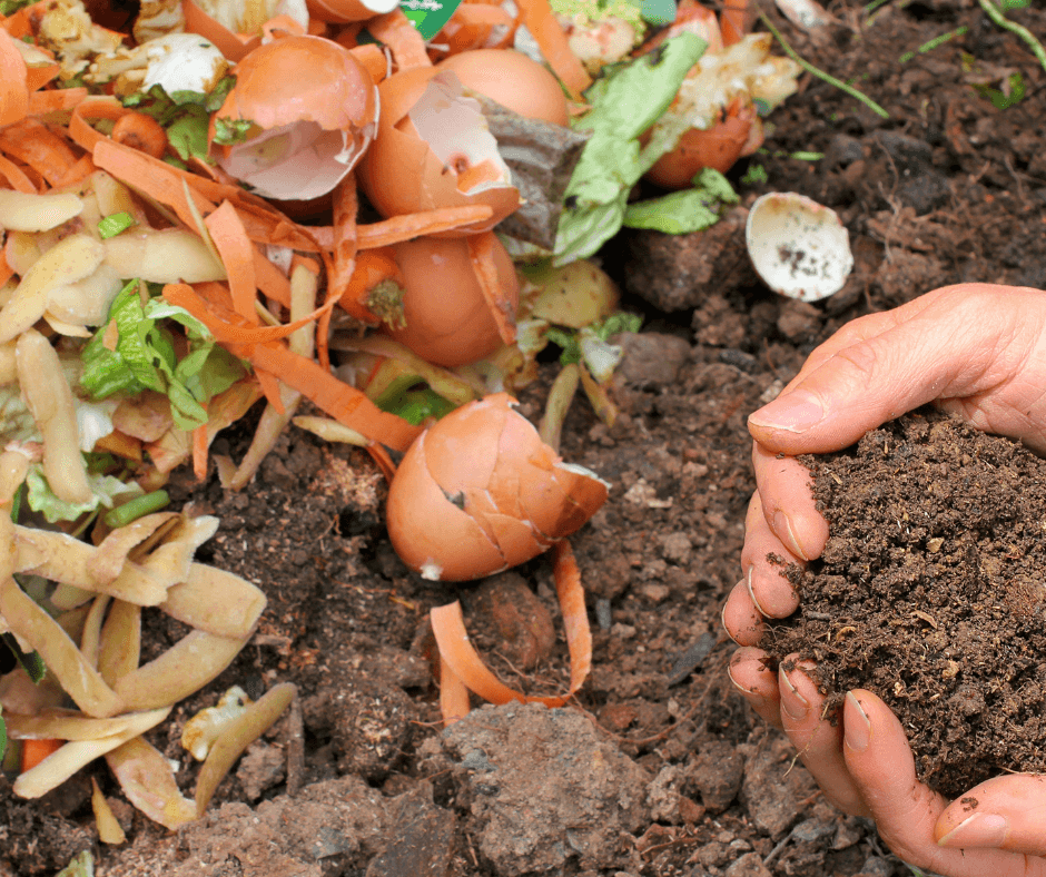 Image depicts composting as a food waste recycling method.